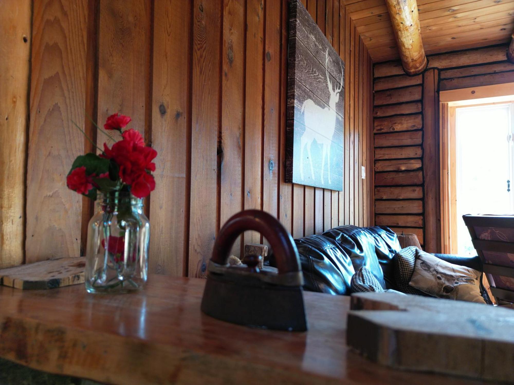 Cozy Log Cottage La Minerve Luaran gambar